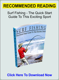 Surf Fishing Guide